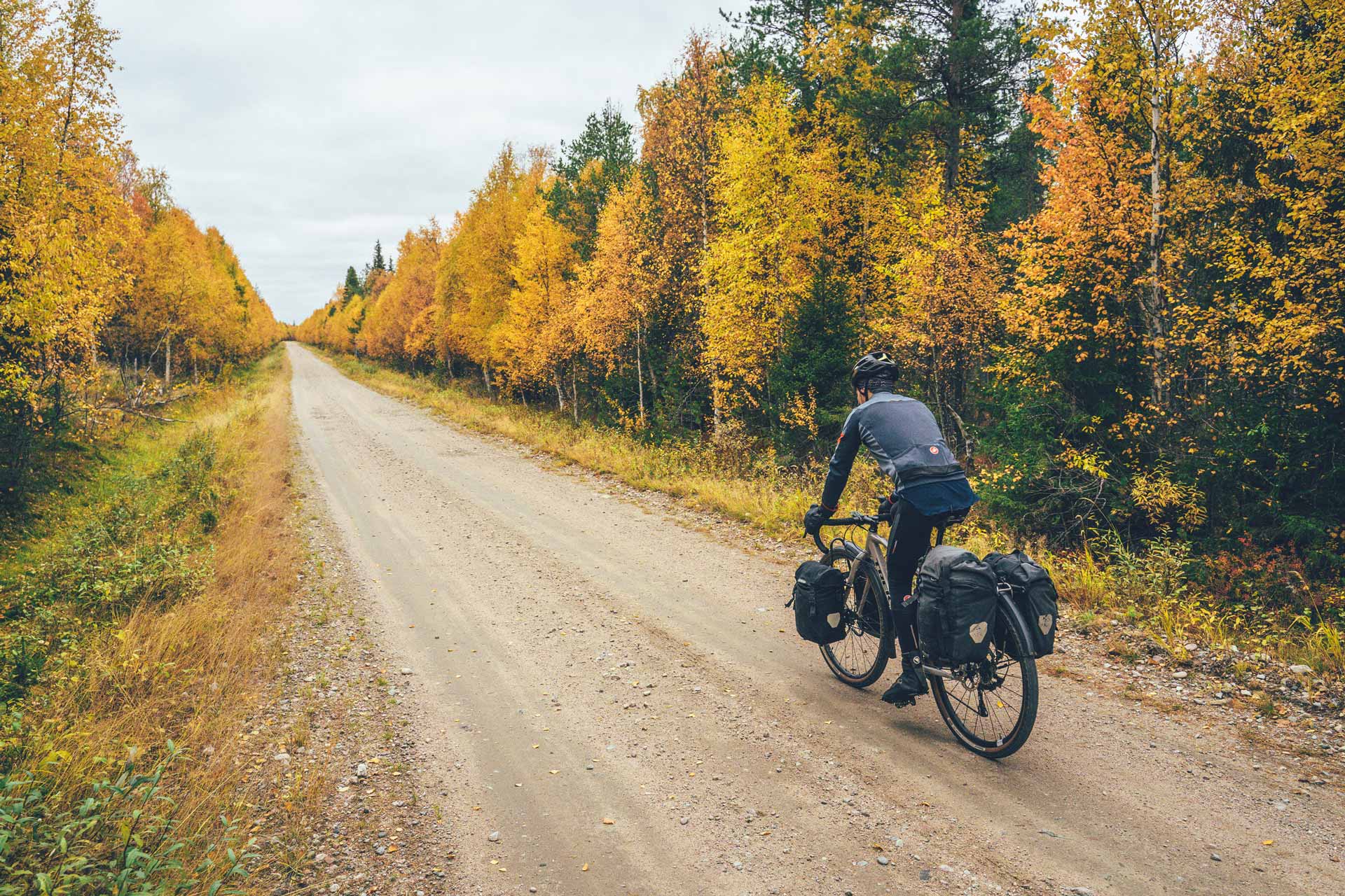 Pyöräilijä ajaa laukuilla varustetulla pyörällä pitkää suoraa hiekkatietä pitkin. Tietä reunustavat ruskan väreissä hehkuvat lehtipuut.