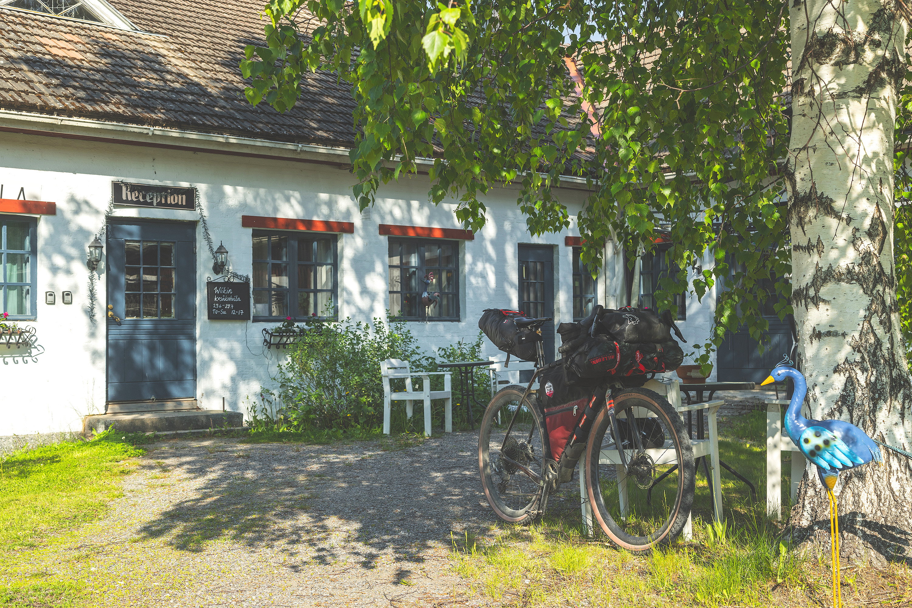 White farmstyle building behind a gravel bike leaning agains a birch tree