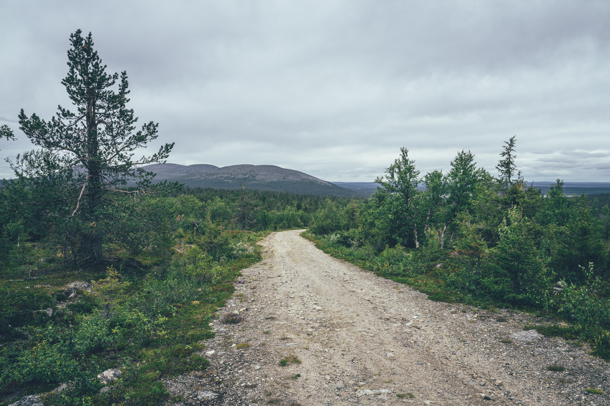 Gravel road over the fell and a fell view