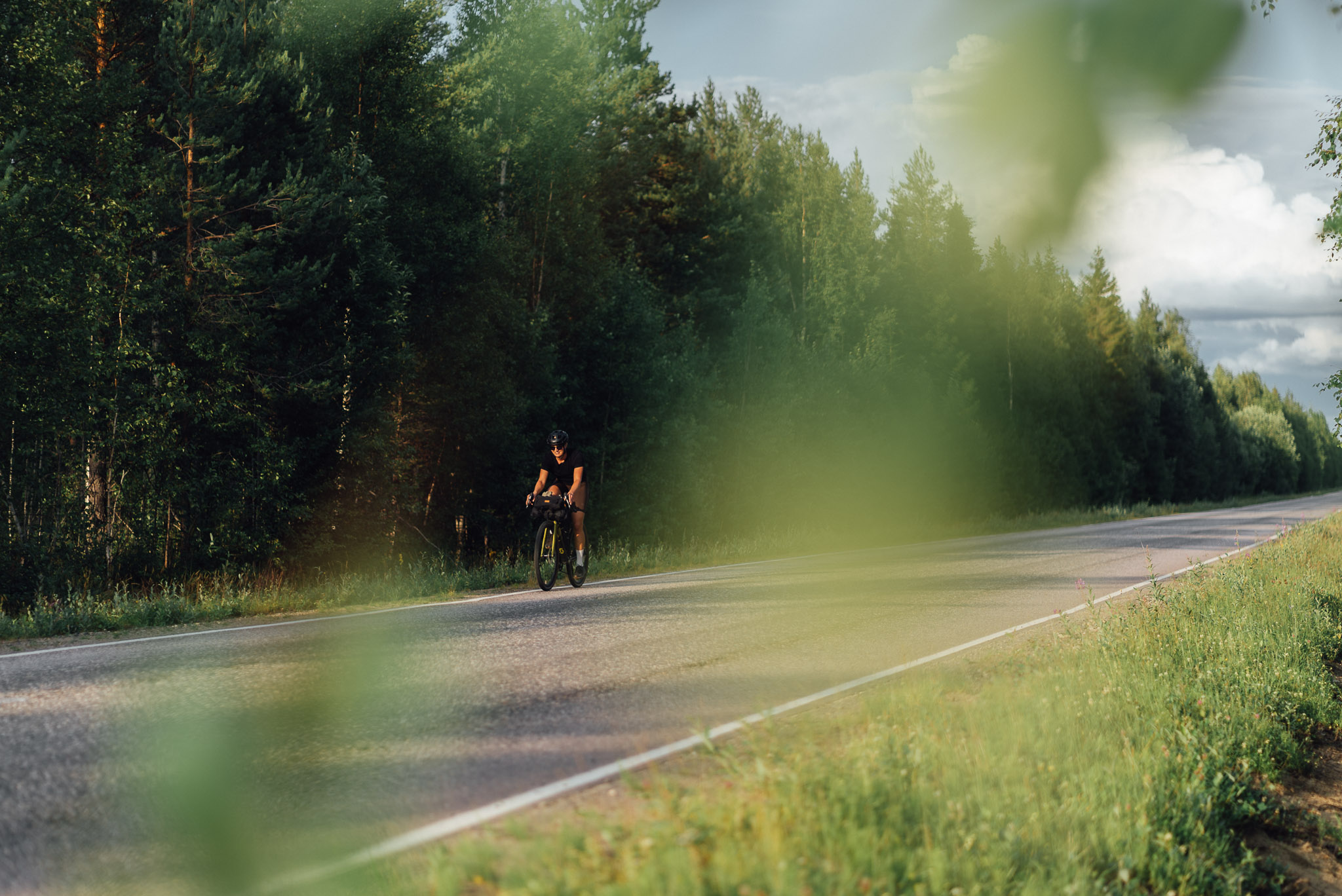 green leaves and a biker