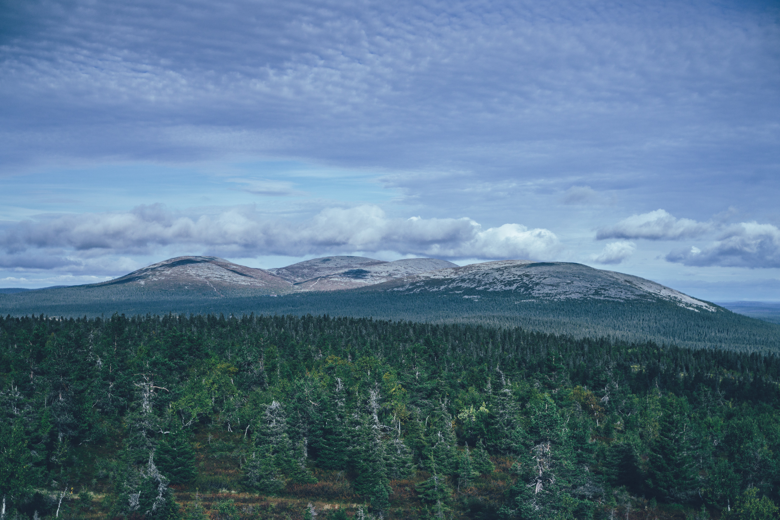 Fells in the horizon