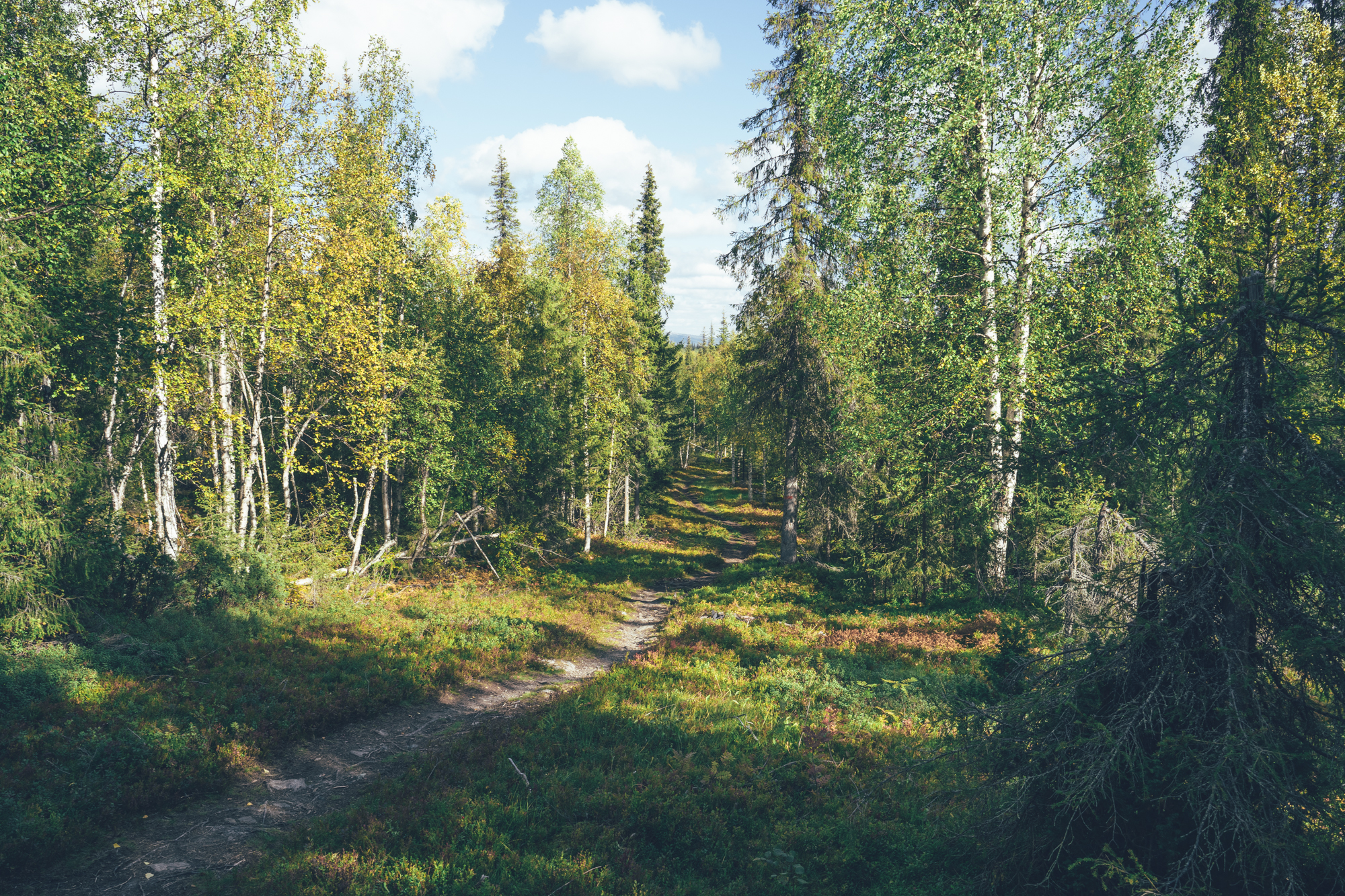 Singletrack