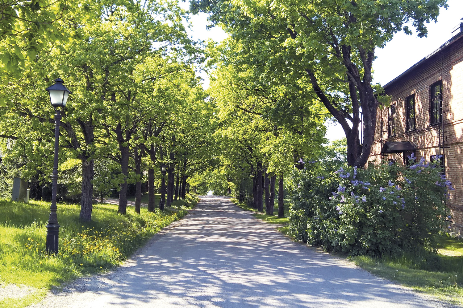 Bikeland: Rannikkoreitti Kuja Mathildedalissa