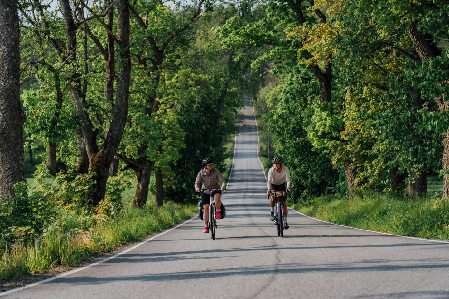 Two cyclists riding a downhill next to each other on a paved road that goes through the woods