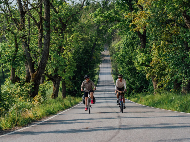 Two cyclists riding a downhill next to each other on a paved road that goes through the woods