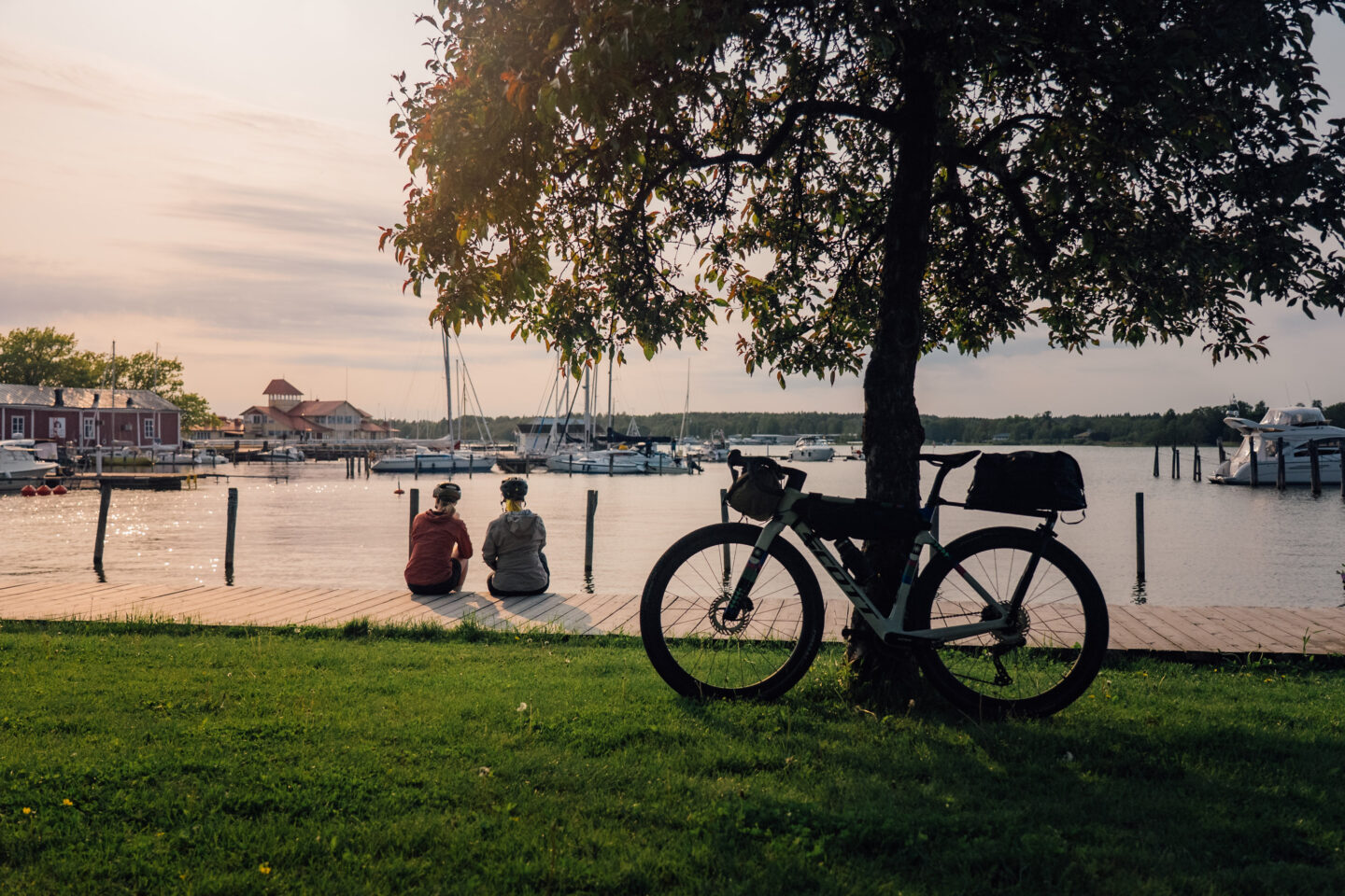 Two cyclists sitting and looking at a harbor on a sunset, while their bike leaning on a tree