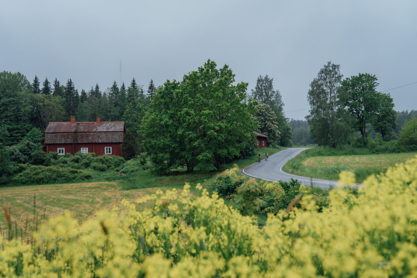 Two cyclists riding a paved road past fields, forests and old wooden houses