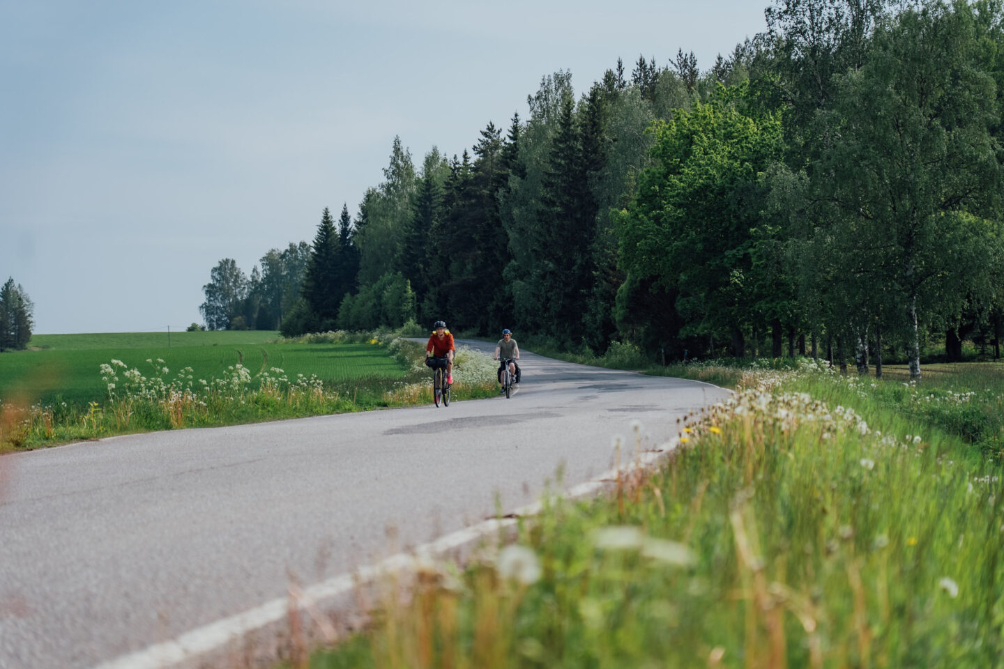 Two cyclists riding a paved road between a field and a forest