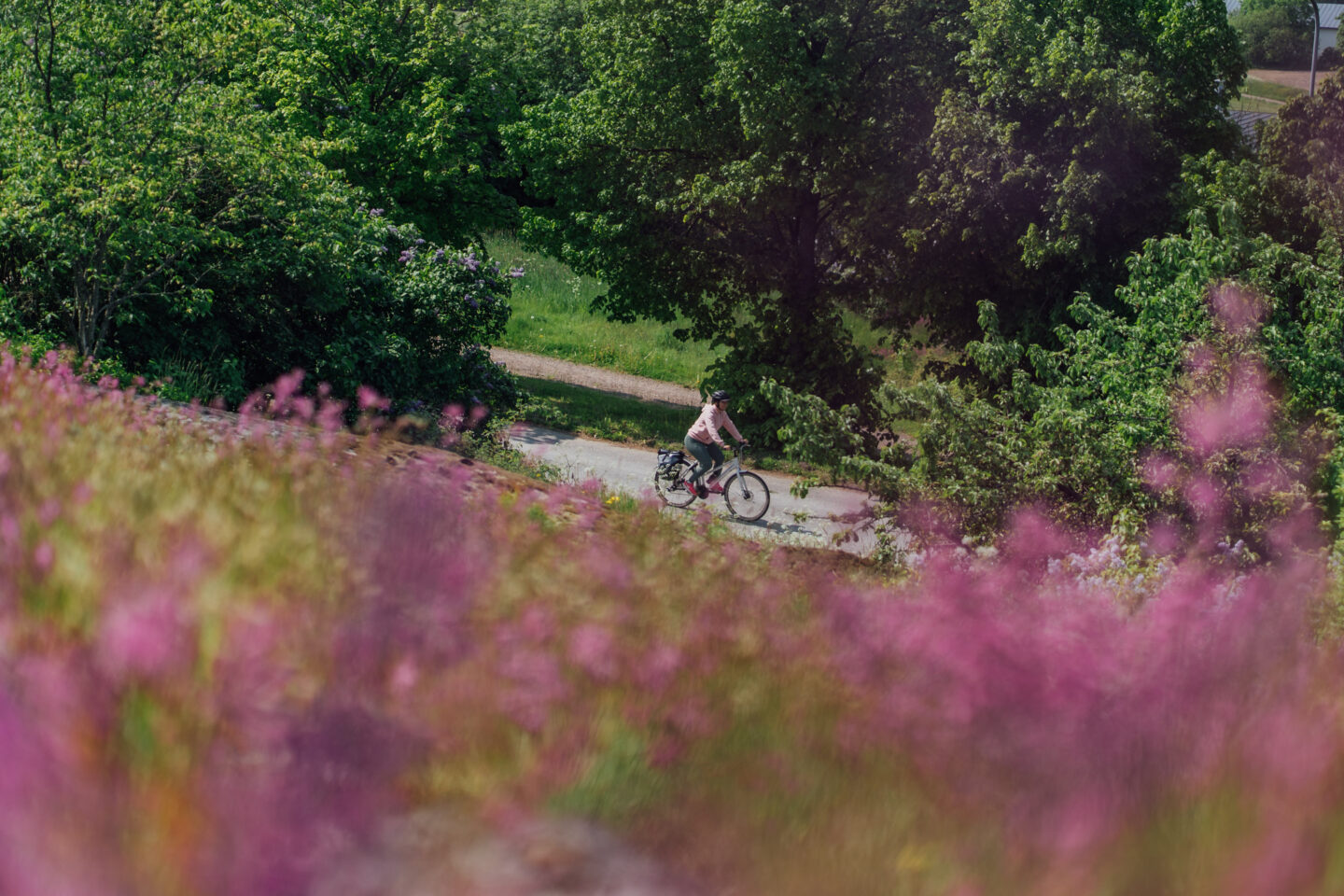 A cyclist riding a paved road next to a meadow