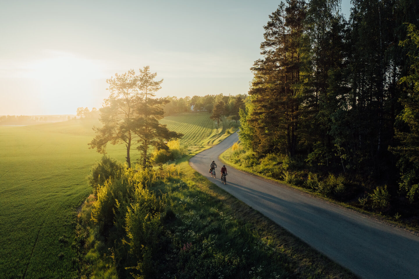 An air picture of two cyclists riding a paved road next to a forest and a field, in a sunrise