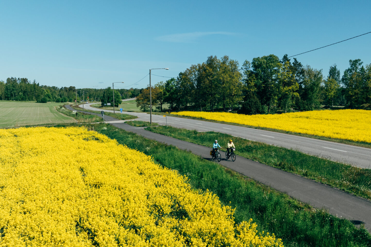 An air picture of two cyclists riding a bike path through yellow rapeseed fields