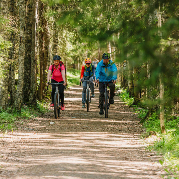 Kolme pyöräilijää pyöräilee metsässä hiekkatiellä.