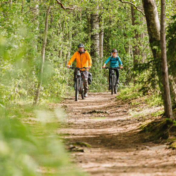 Kaksi pyöräilijää metsässä.