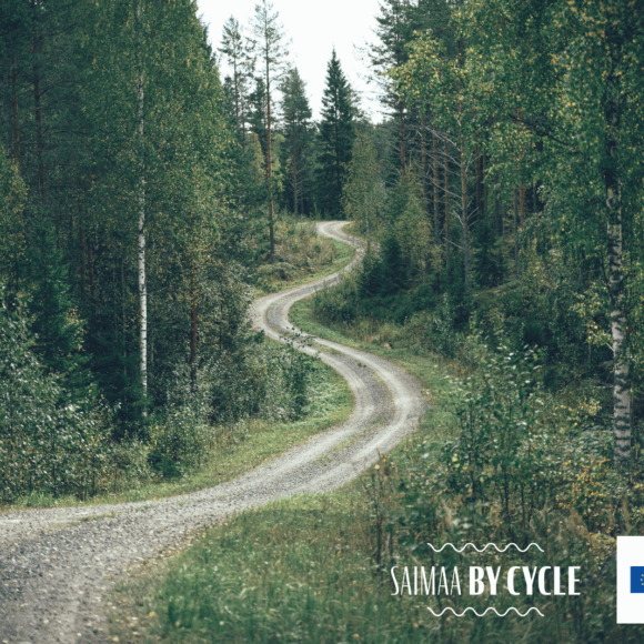 Mutkitteleva soratie metsässä.