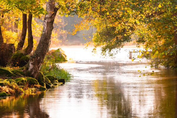 Loppukesän maisemaa