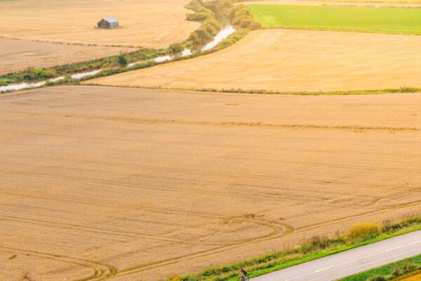 Kaksi pyöräilijää Taikayöntiellä kultaisten peltojen keskellä