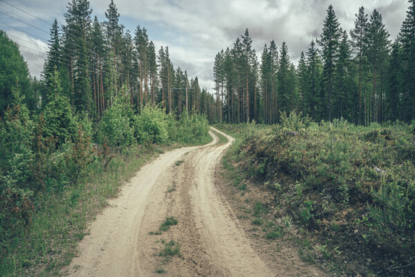 hiekkainen metsätie