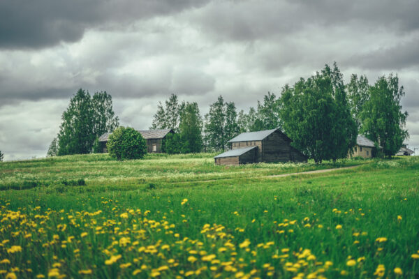 latoja niityllä