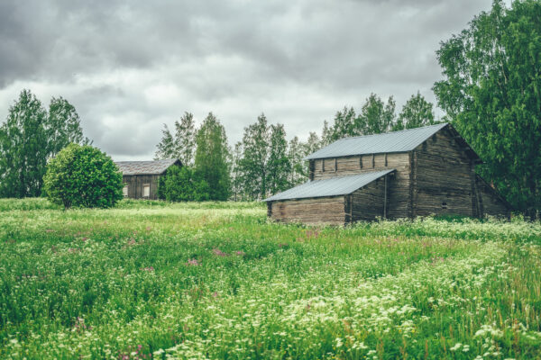 maalaismaisema