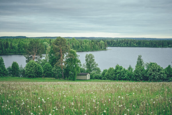 järvimaisema