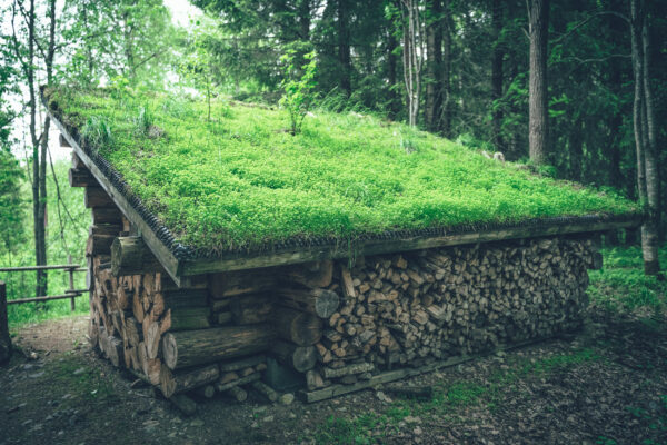 turvekattoinen laavu