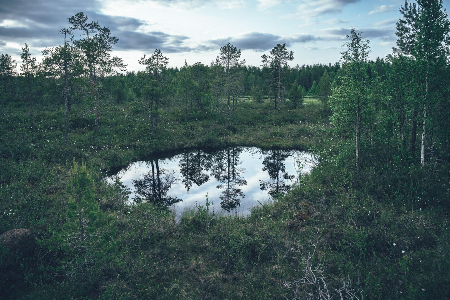 Suomaisema reitin varrella