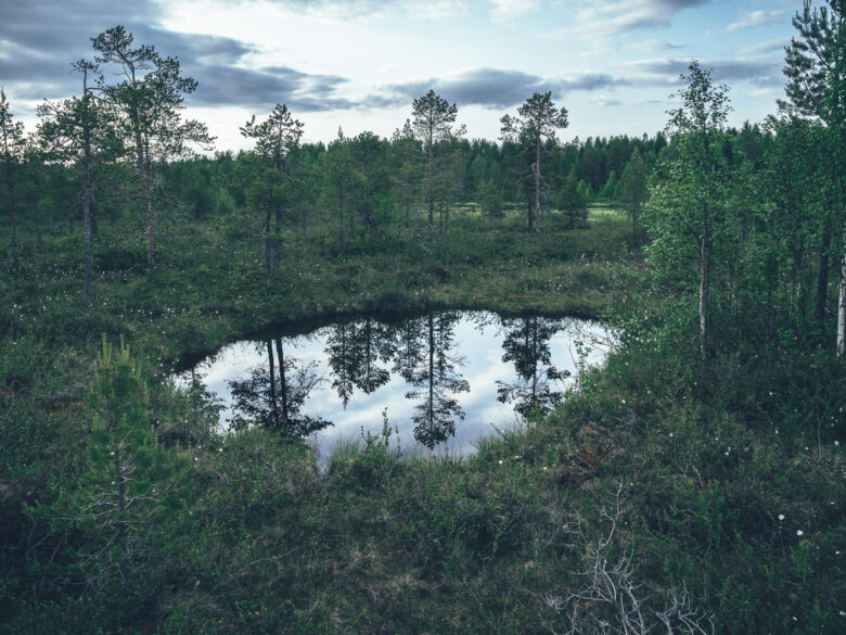 Suomaisema reitin varrella