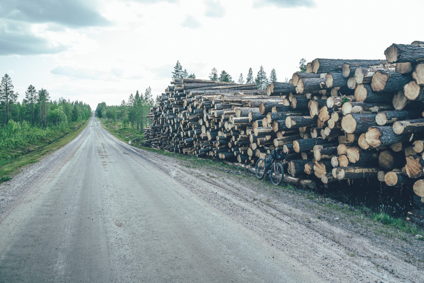 tukkipino ja pyörä