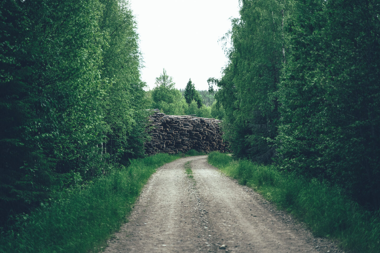 metsätie ja tukkipino