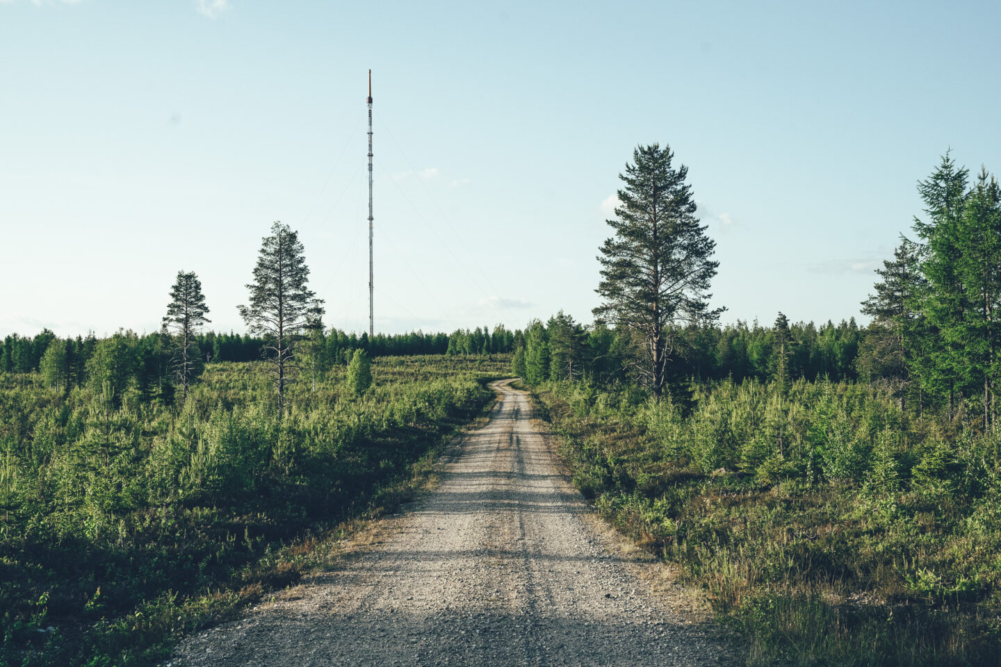 hiekkatie metsäaukion läpi