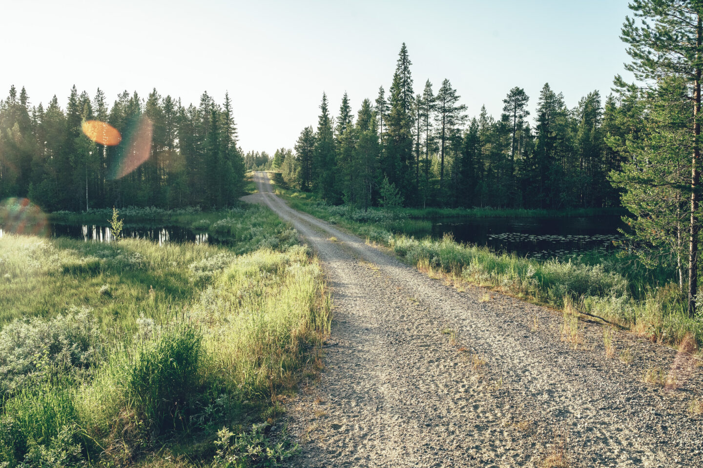 pehmeä valo ja hiekkatie