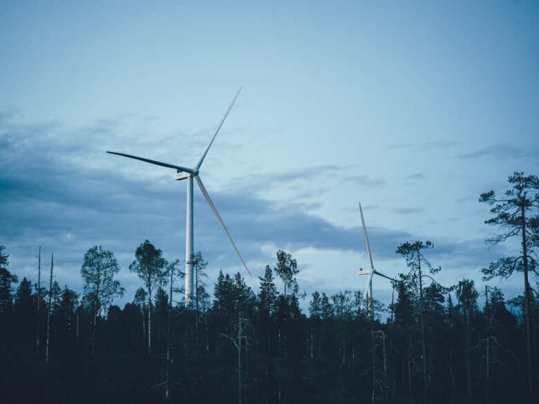 Tuulimyllyt metsän yläpuolella