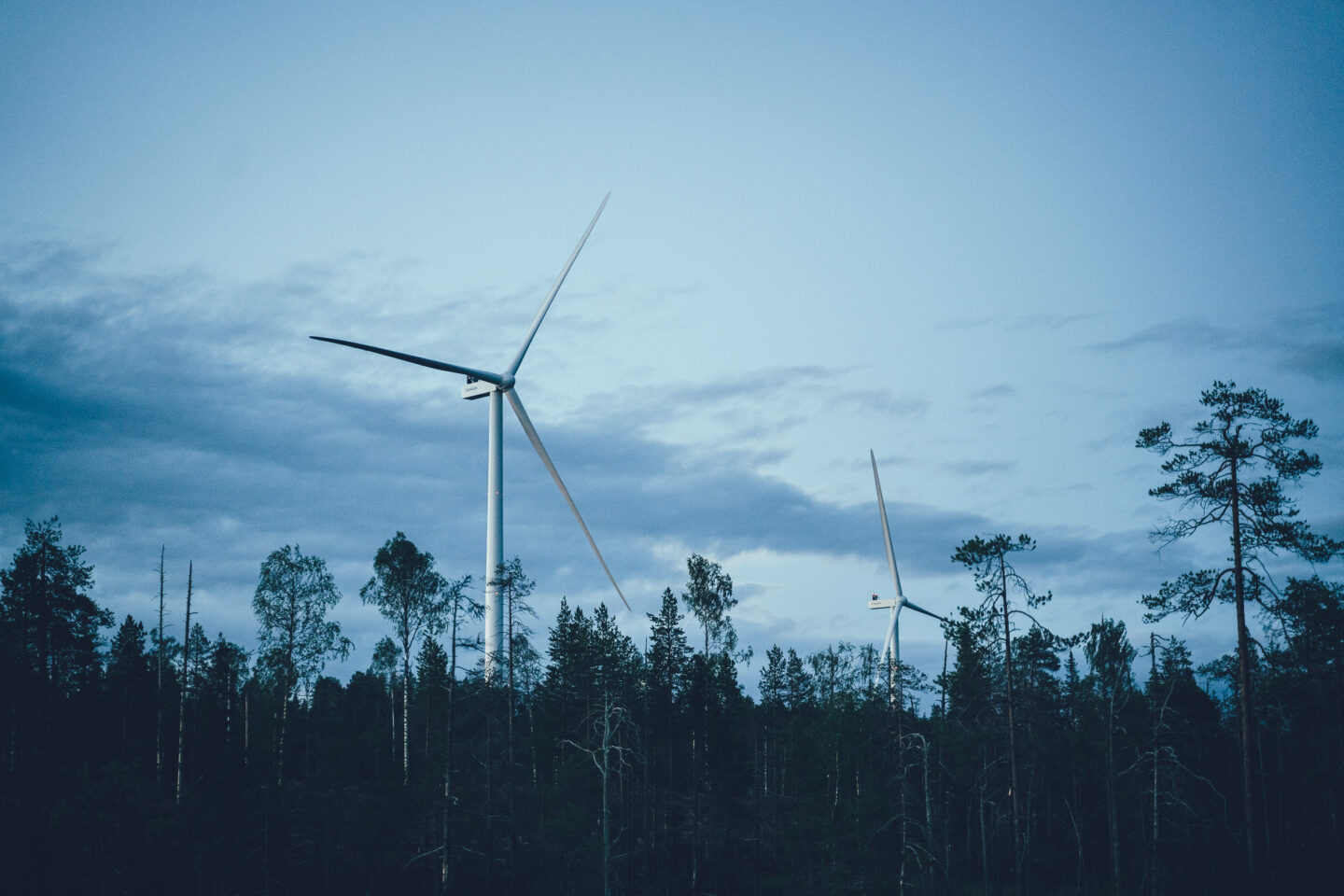 Tuulimyllyjä metsän yllä