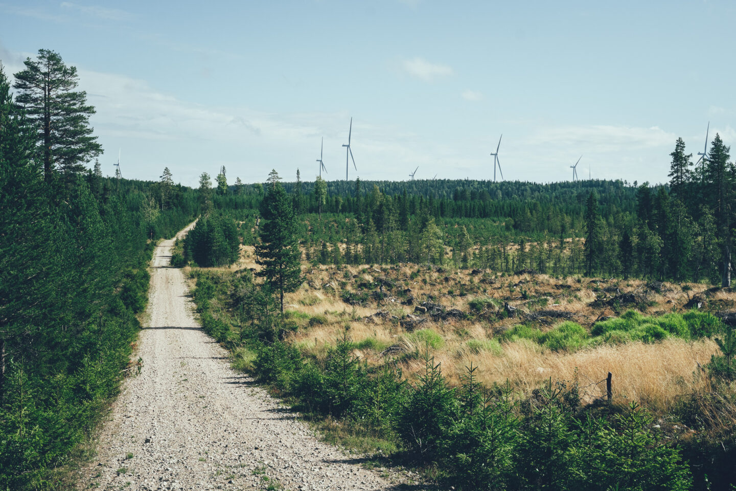 tuulimyllyjä maisemassa