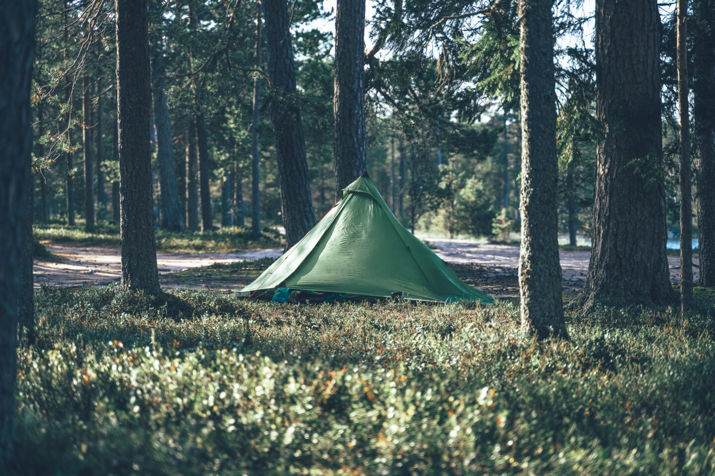 tent in the forest
